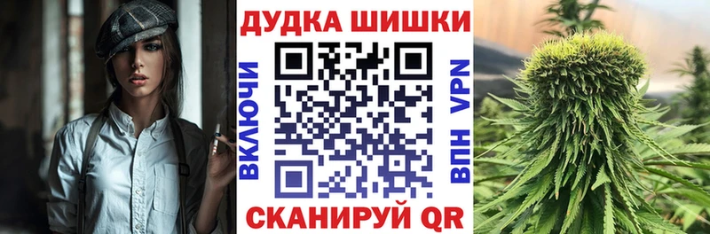 Бошки марихуана сатива  Старица 